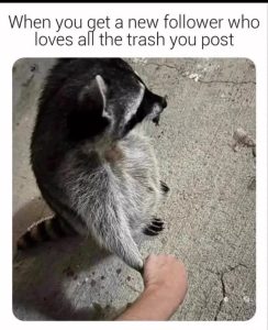 Stupid Bar Memes 681b0f38af7cd