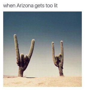 Stupid Bar Memes 681b0f6017508