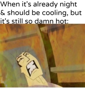 Stupid Bar Memes 6823031bc089e