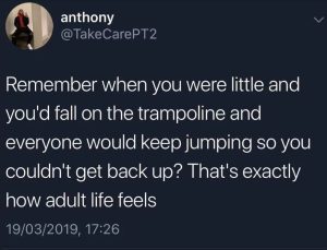 Stupid Bar Memes 6823056602748