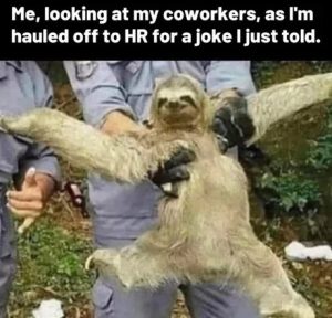 Stupid Bar Memes 68276860aec71
