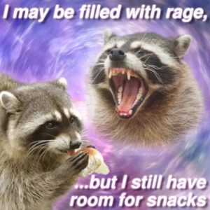 Stupid Bar Memes 6827d877bfd71