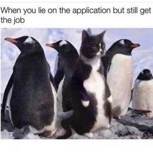 Stupid Bar Memes 682c3917916ee