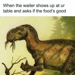 Stupid Bar Memes 682c397038aee