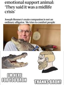 Stupid Bar Memes 682cbfc465030