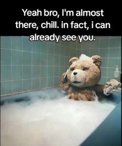 Stupid Bar Memes 765b502133b1f