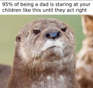 Stupid Bar Memes 80e940ac9ba9e53b
