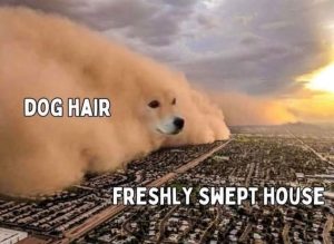 Stupid Bar Memes 9a828897cd2074