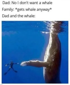 Stupid Bar Memes E6RgVnt