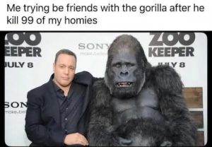 Stupid Bar Memes KEhAbmj