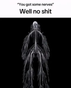 Stupid Bar Memes R2QXsX5