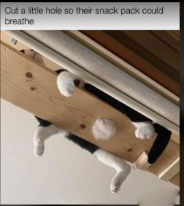 Stupid Bar Memes a7o24qAs700b