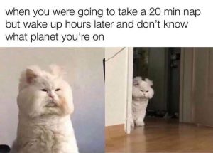Stupid Bar Memes a9y2A26s700b