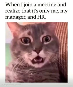 Stupid Bar Memes aByGKwDs700b