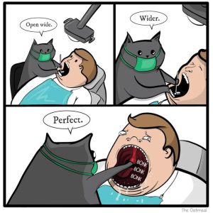 Stupid Bar Memes aKGe0QNs700b