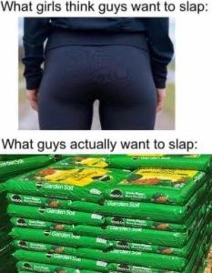 Stupid Bar Memes aLnmxKMs700b