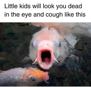 Stupid Bar Memes abABN4Os700b