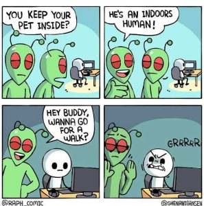 Stupid Bar Memes aliskeptsinside