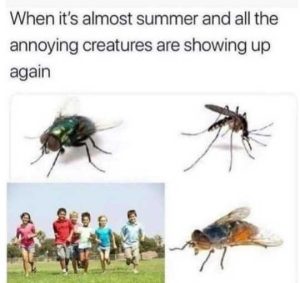 Stupid Bar Memes almostssscreatures