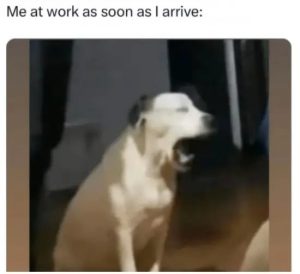 Stupid Bar Memes atsworkarrive