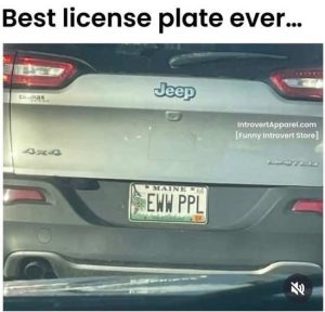 Stupid Bar Memes bestslatesewwspeople