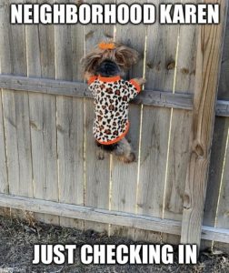 Stupid Bar Memes c54349149e0df