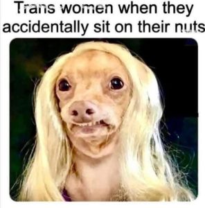 Stupid Bar Memes c5f6e84a944e1