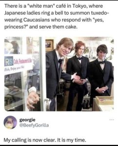 Stupid Bar Memes ca4400d8a9c7