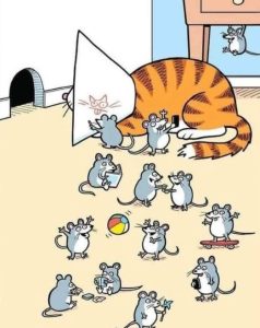 Stupid Bar Memes catscopartying