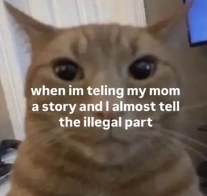 Stupid Bar Memes dadomnesssmemes