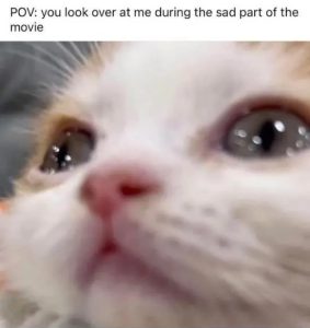 Stupid Bar Memes daiumpsfunnys14