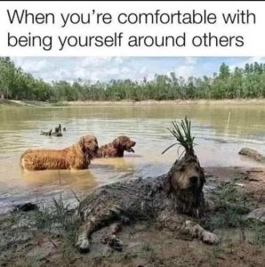 Stupid Bar Memes dogablesbeingsyours