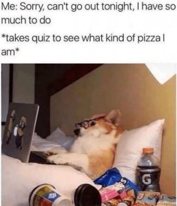 Stupid Bar Memes dogslaptuizswhat