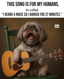 Stupid Bar Memes dogssongshisesbarkeds27