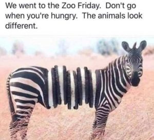 Stupid Bar Memes dontsgoshungrysoreos