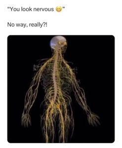 Stupid Bar Memes ers00fp16zye1