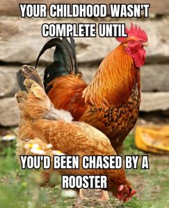 Stupid Bar Memes f9b5091807e6