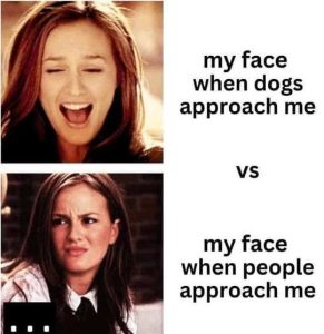 Stupid Bar Memes faceswhenschessmespeop