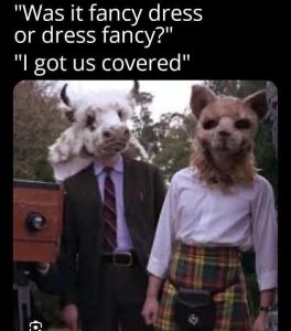 Stupid Bar Memes fandscoveredsanimals
