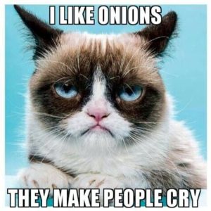 Stupid Bar Memes full3e4re34