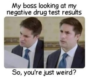 Stupid Bar Memes funnys640s19