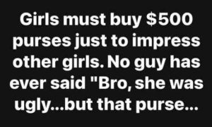 Stupid Bar Memes girlssbuspursessimpr