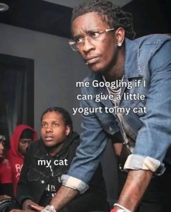 Stupid Bar Memes instructionsslife10
