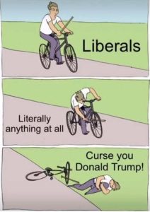 Stupid Bar Memes liberalsmpsdoessbik