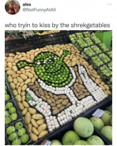 Stupid Bar Memes mZWZ2hM