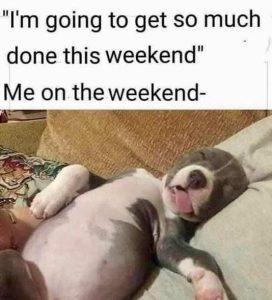 Stupid Bar Memes muchsdonesweeken
