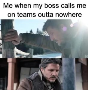 Stupid Bar Memes mysbossscsouttasnow