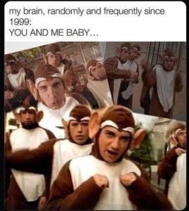 Stupid Bar Memes mysbrainssusandsmesb