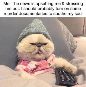 Stupid Bar Memes newssutressingsmurder