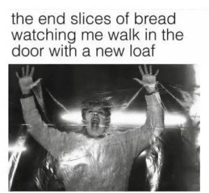 Stupid Bar Memes oZVRwGi